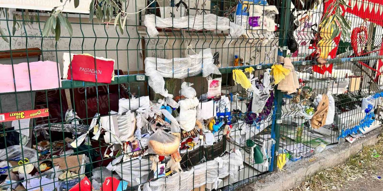 Ankara’da çöp dolu ev mahalleyi ayağa kaldırdı