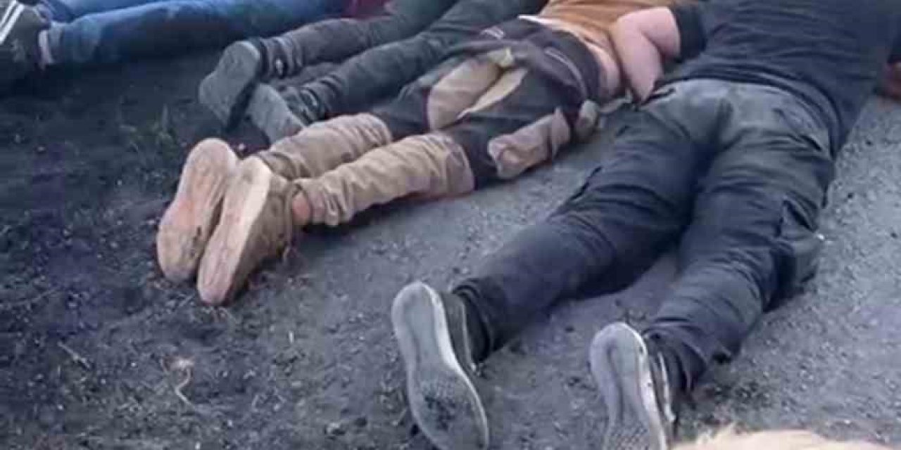 İnsan kaçakçısını ve göçmenleri koyun sürüsü durdurdu