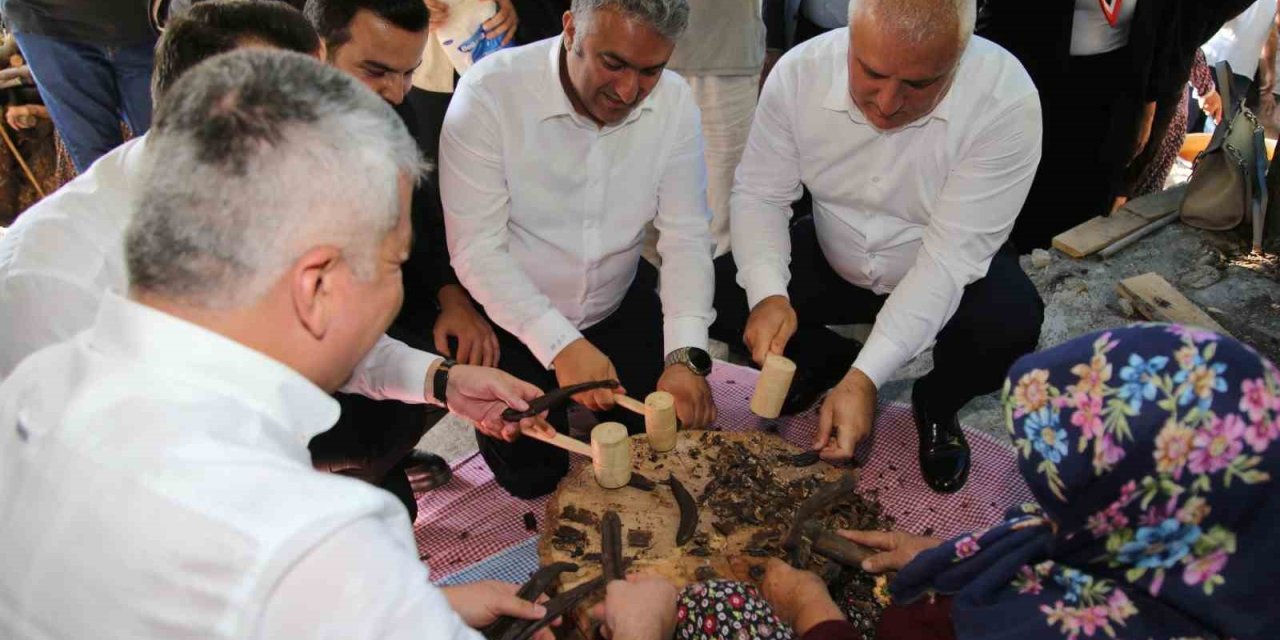 Keçiboynuzu patenti Alanya'ya verildi