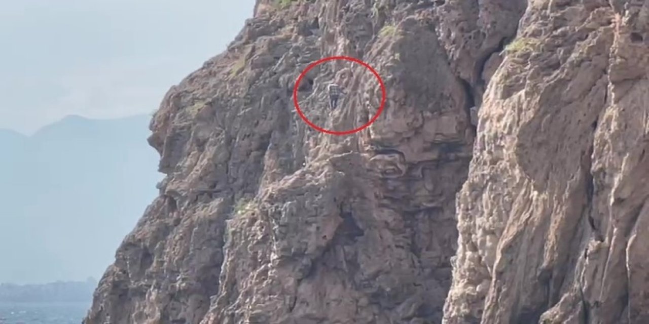 Falezlerde mahsur sanıldı, gerçek bambaşka çıktı