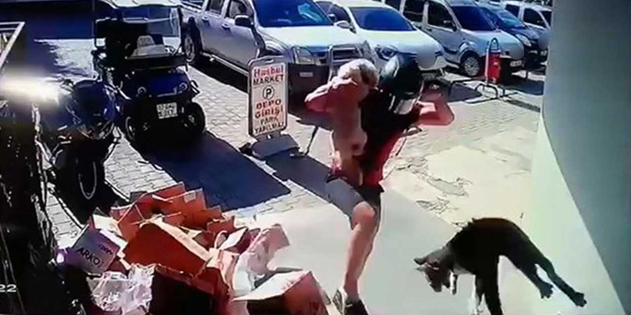 Seninki can da diğeri patlıcan mı? Kediyi metrelerce havaya fırlattı