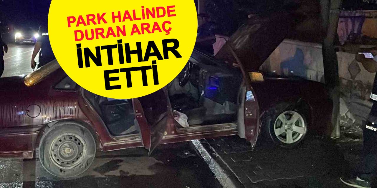 Kendi kendine hareket eden araç, ağaca çarpıp yandı