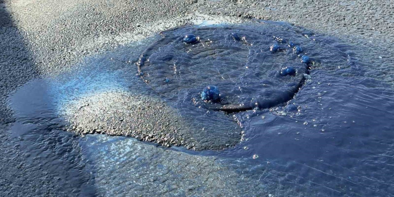 Kanalizasyondan mavi atık su taştı