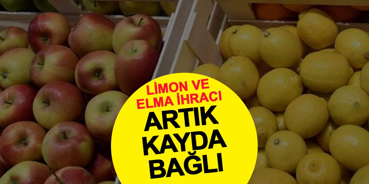 Limon ve Elma İhracı Artık Kayda Bağlı