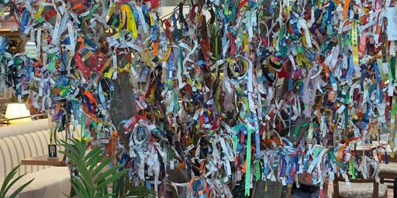 Her Şey Dahil Ağacı: Antalya Havalimanı’nda Renkli Veda