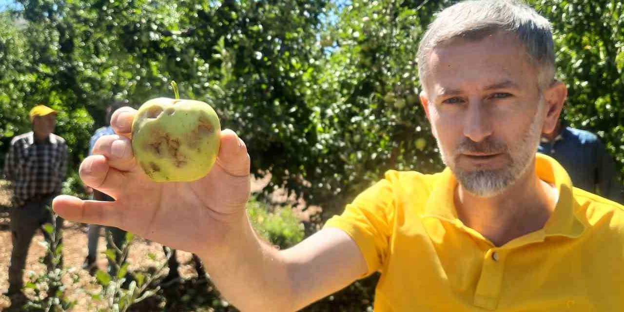 Bozkır'da dolu felaketi: Üreticiler büyük zarar gördü