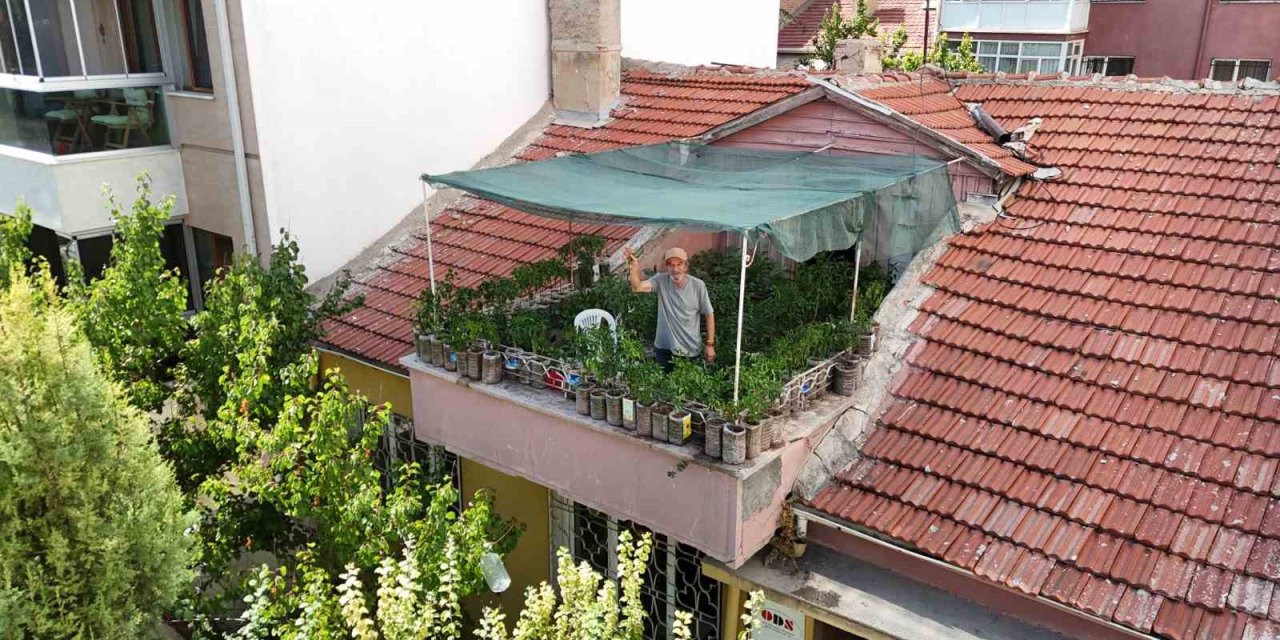 18 metrekarelik terasını bahçeye çevirdi