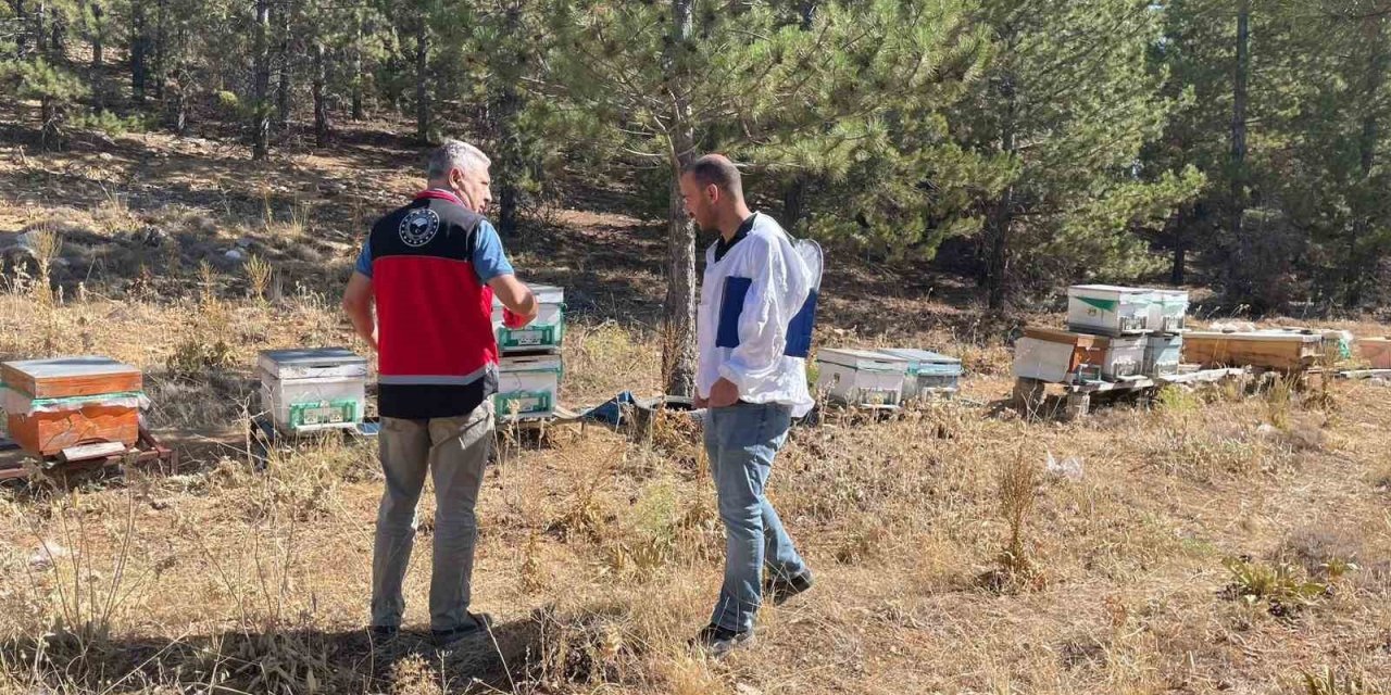 Beyşehir’de Arılı Kovan Sayımı Sürüyor: Üreticilere Teknik Destek Sağlanıyor