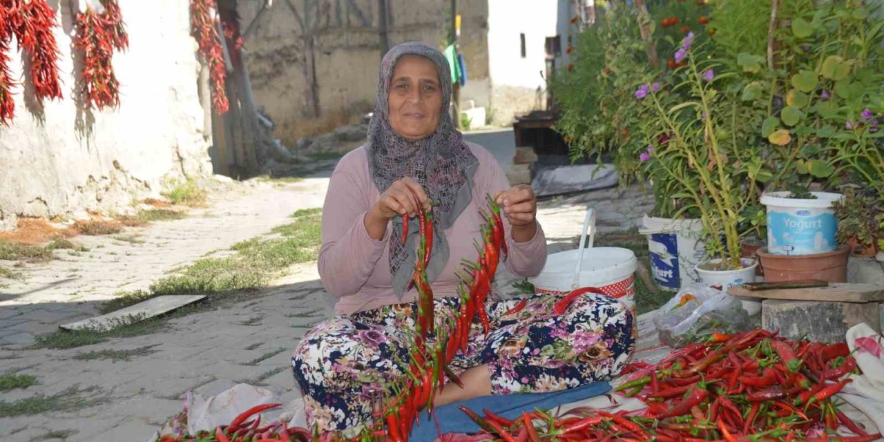 160 yıldır aynı tohumdan acı biber üretiyorlar