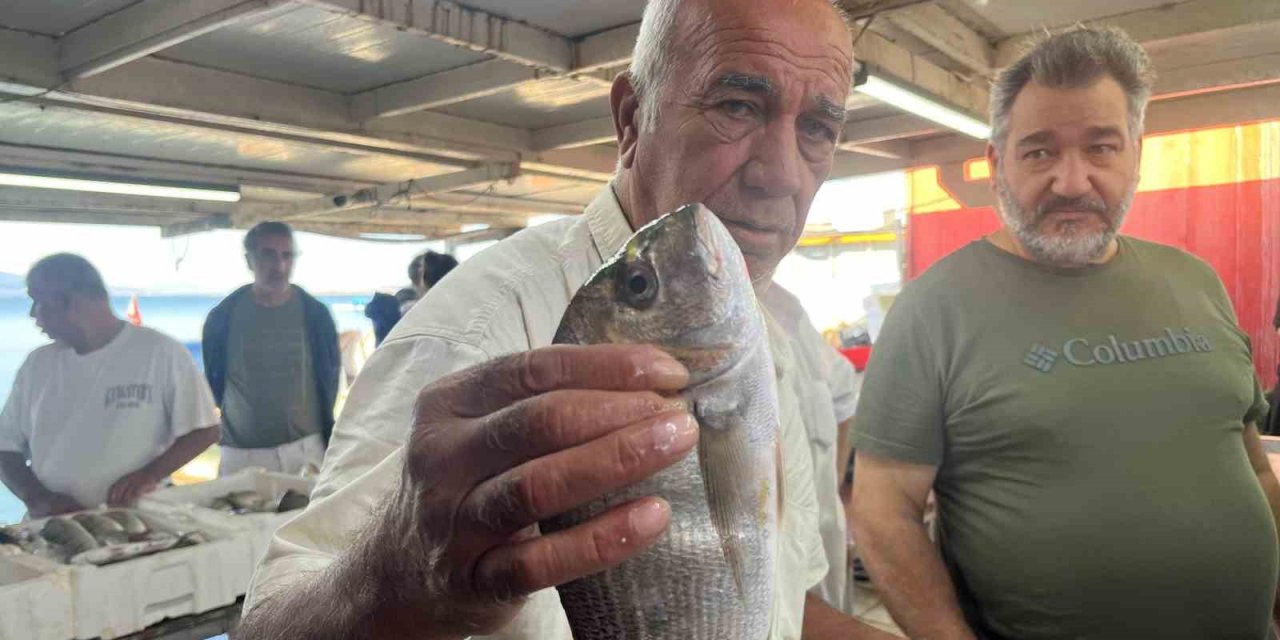 Konya'dan İzmir'e Bu Balıklar İçin Gidiyorlar
