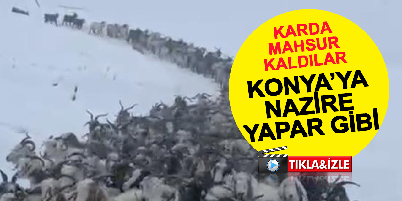 Konya'ya nazire yapar gibi