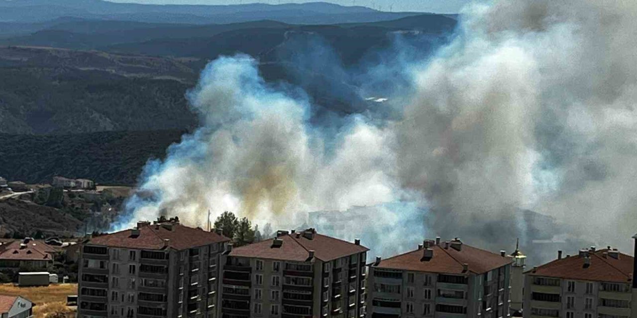 Salça kaynatırken 30 dönüm makilik alan kül oldu