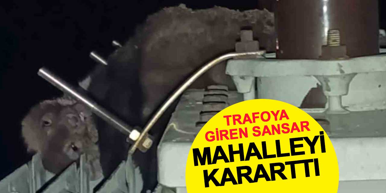 Trafoya Giren Sansar Mahalleyi Kararttı