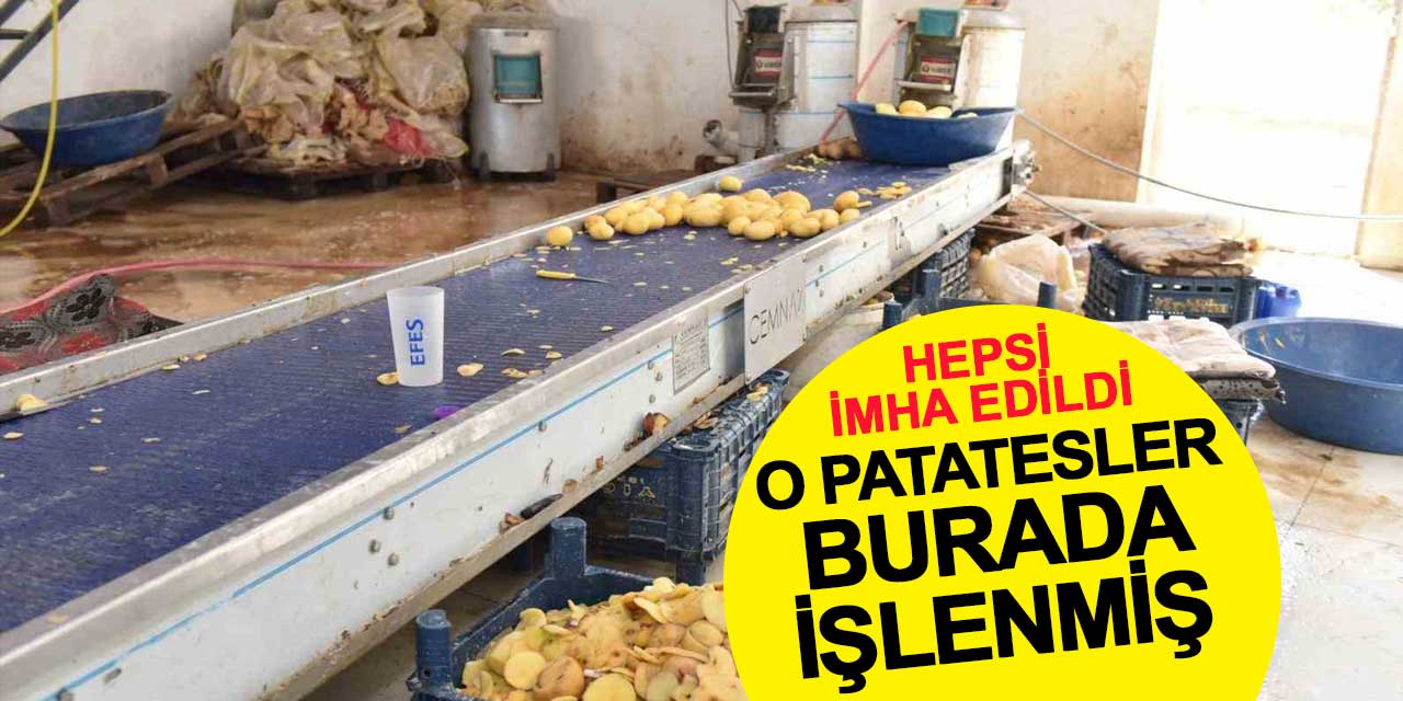 O patatesler burada işlenmiş: Hepsi imha edildi