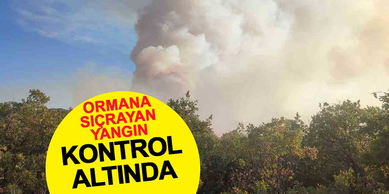 Beyşehir'de sazlıkta çıkan yangın ormana sıçradı