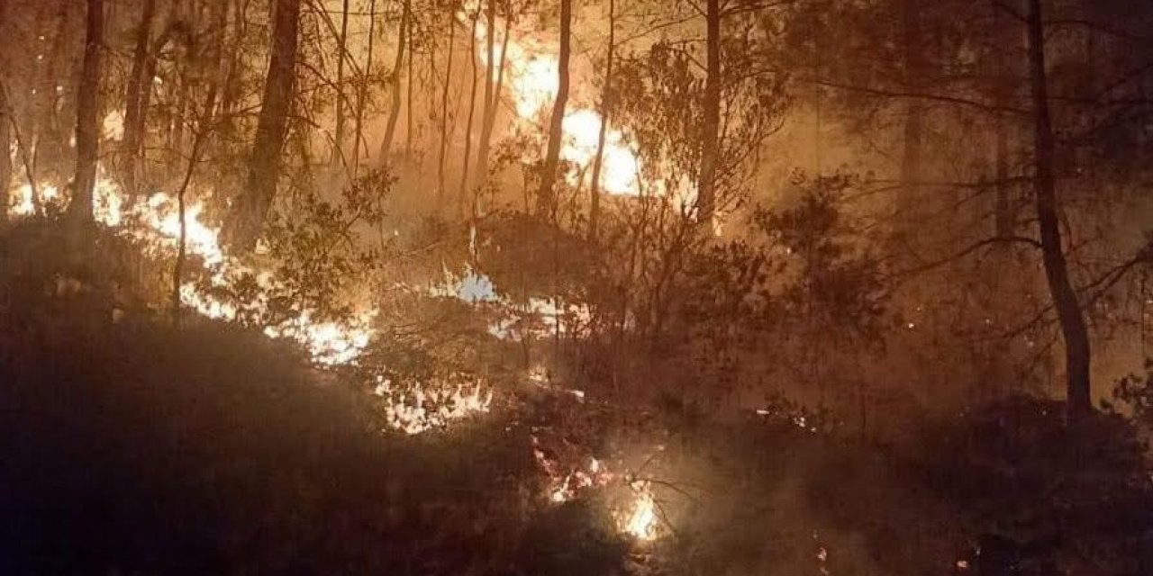 Gazipaşa'da Orman Yangını Korkuttu: Ekipler Alevleri 1 Saatte Kontrol Altına Aldı