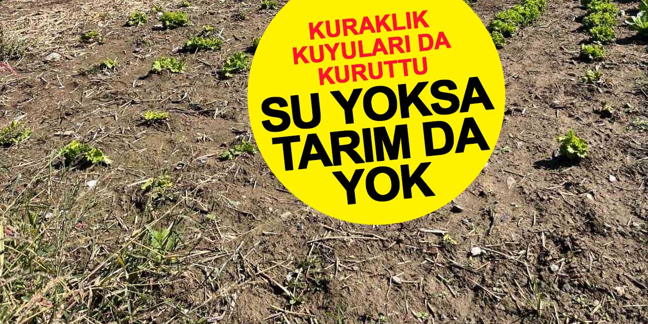 Kuraklık kuyuları da kuruttu: Su yoksa tarım da yok