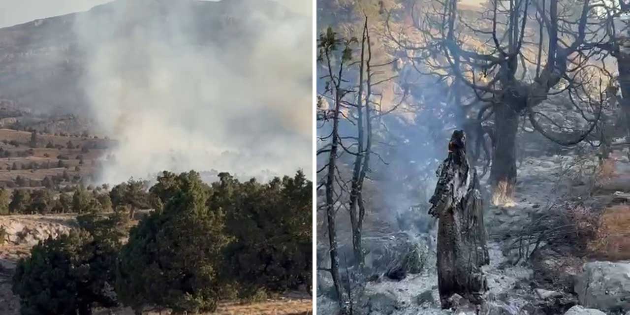 Ayrancı’da çıkan örtü yangını ağaçlık alana sıçradı