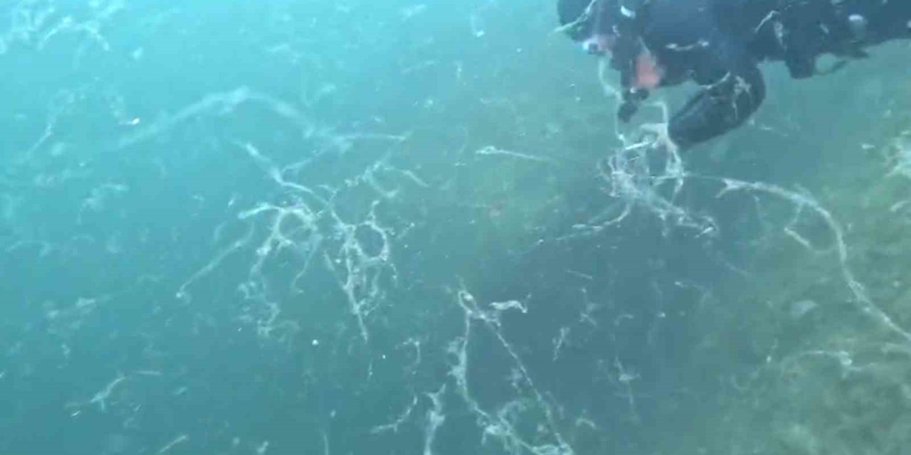 Marmara'nın kabusu geri döndü