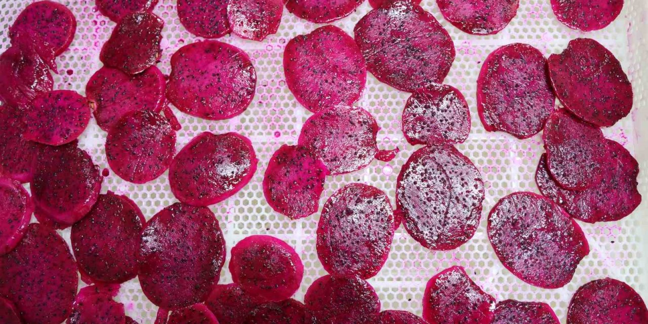 Ejder Meyvesinin Kurusu da Ekonomiye Değer Katıyor