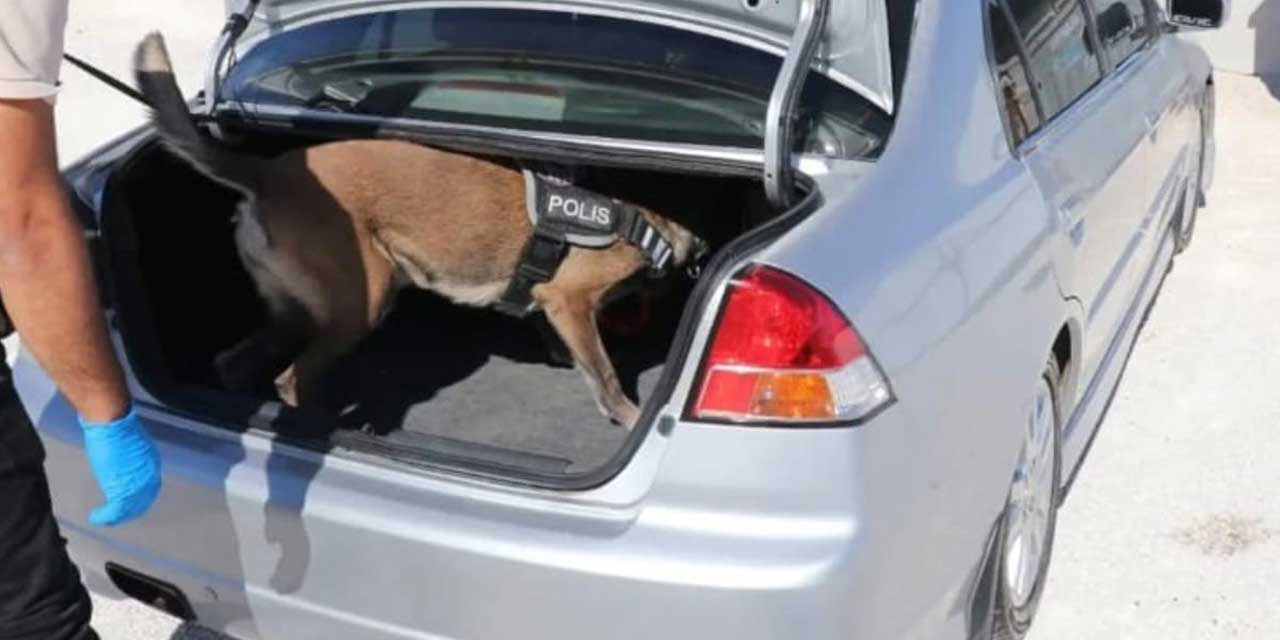 Çumra'da geniş çaplı uygulama: Narkotik köpeğinden kaçamadılar