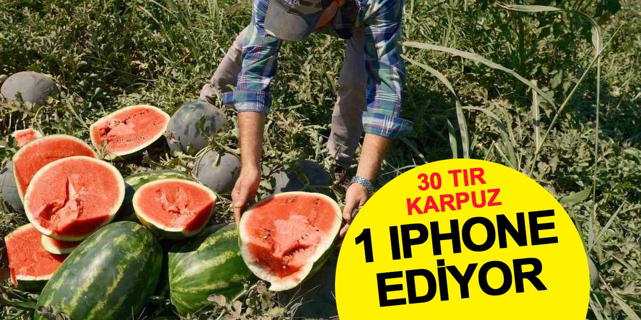 30 tır karpuz 1 iPhone ediyor