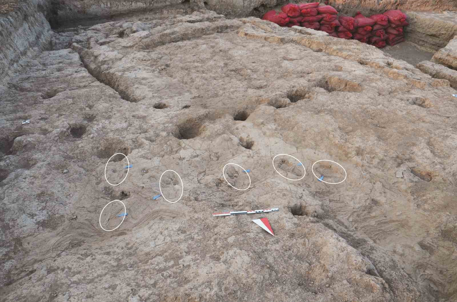 Anadolu insanlık tarihini değiştirecek! 7 bin 200 yıllık ayak izi