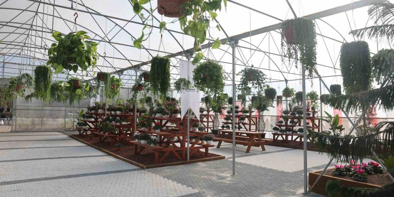 Sanayi kenti bu noktada doğayla buluşacak