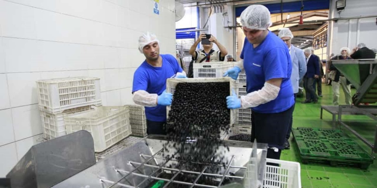 Marmarabirlik'ten Kozmetik ve Zeytinyağlı Çikolata Hamlesi