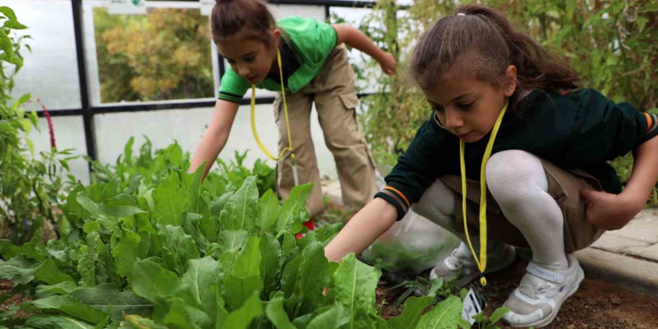 Karatay'da 16 Bin Öğrenciye Uygulamalı Eğitim: Trafik Bilinci ve Doğa Sevgisi Bir Arada