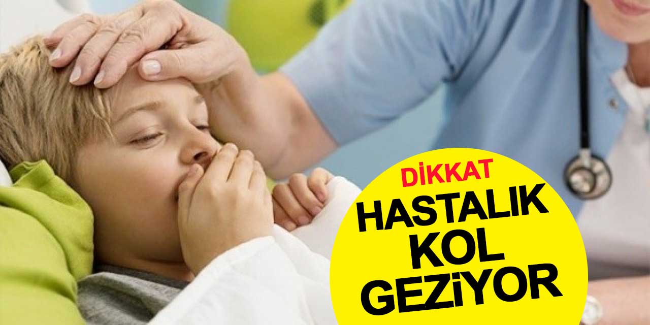 Hastalıklar kol geziyor