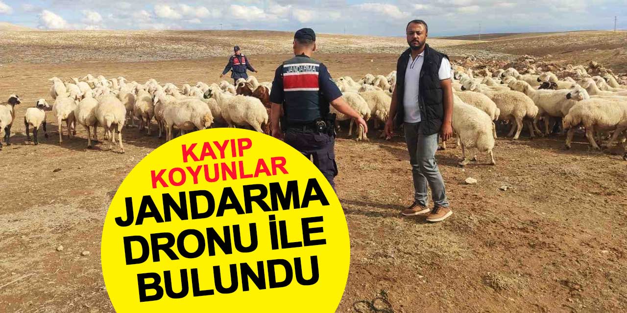 Konya'da Kaybolan 93 Küçükbaş Hayvan Jandarma Dronu ile Bulundu