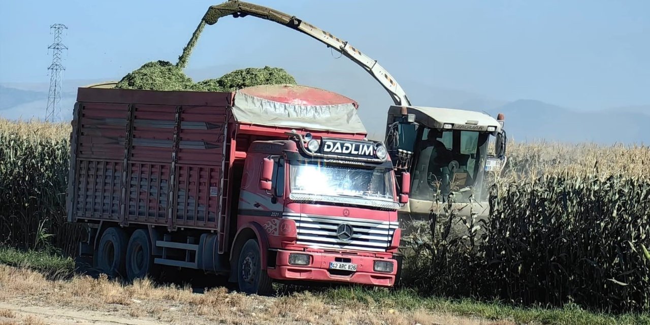 Konya Ovası'nda mısır hasadı erken başladı