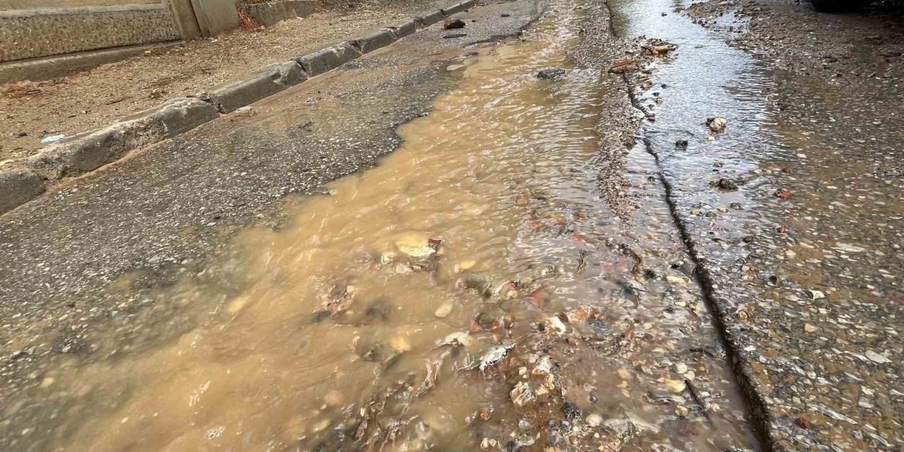 Her sokağı çöple dolan İzmir'i yağmur yıkadı