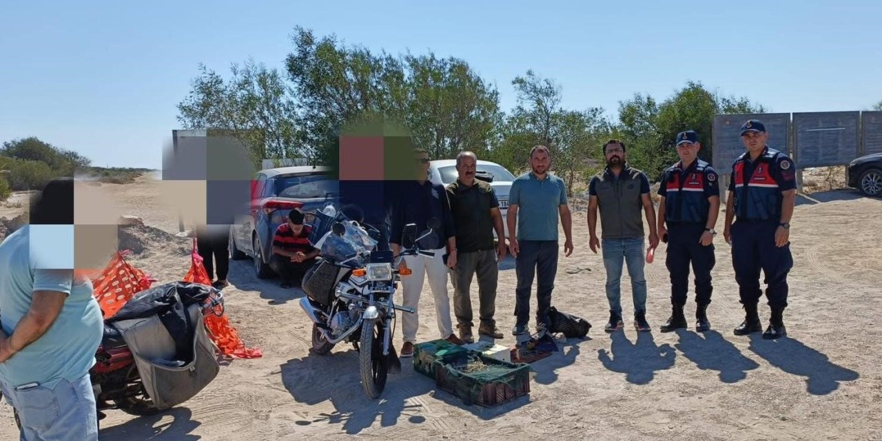 Kaçak yırtıcı kuş avı 143 bin liraya patladı
