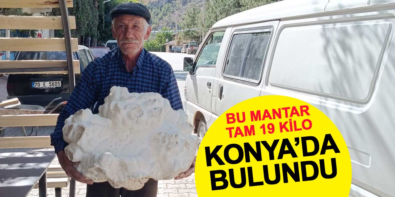 Önce taş sandı: Konya'da tam 19 kiloluk mantar bulundu