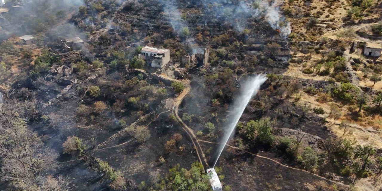 Patlıcan közlerken ormanı yaktı