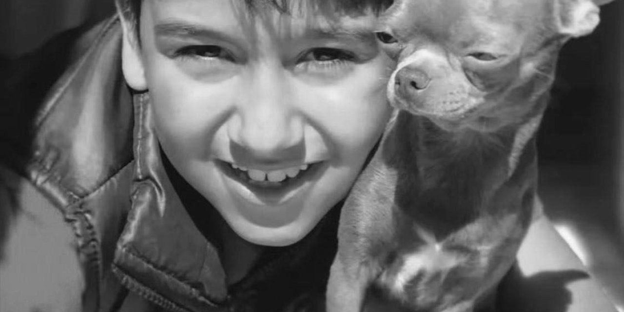 CHP’li Başkan Yardımcısı’nın araçla çarptığı çocuk hayatını kaybetti