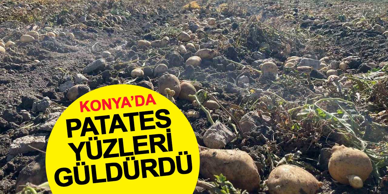 Beyşehir’de Patates Yüzleri Güldürdü