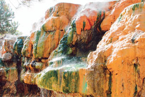 Tam 17 hastalığa çözüm sunuyor