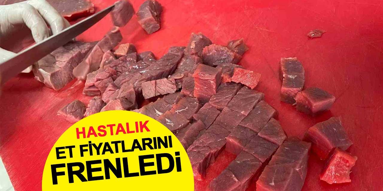 Şap ve Üç Gün Hastalığı, Et Fiyatlarını Frenledi