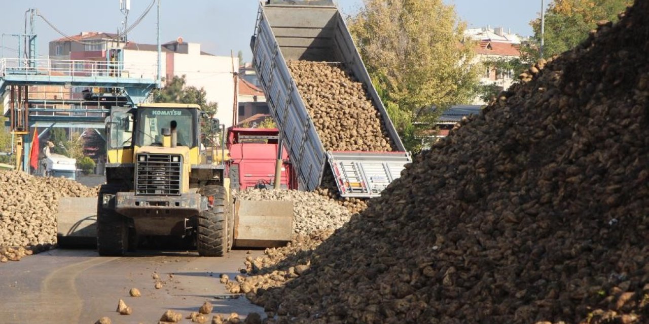 Pancar Üretiminde Kısıtlama Yok: Şeker Arzında Sorun Beklenmiyor
