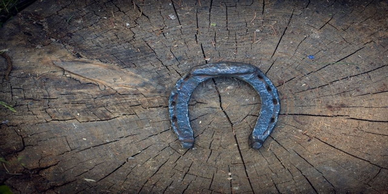 Kayseri'deki cinayeti at nalı çözdü