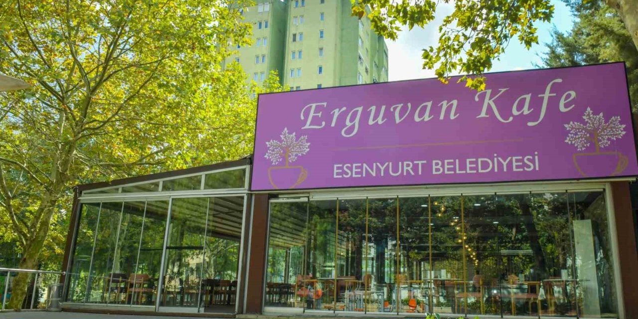 Buralar eskiden harabeydi! Esenyurt'un artık Erguvan'ı var