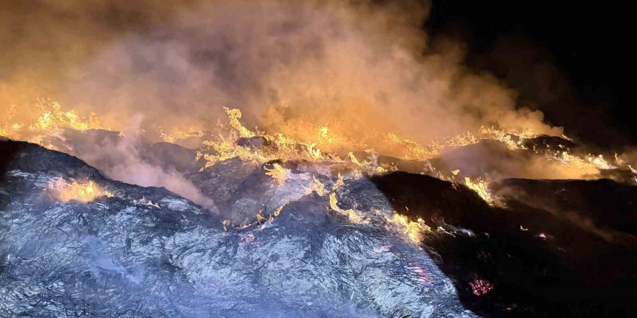 Eber kurudu toplanıp getirilen kamışlar Afyon'da yandı