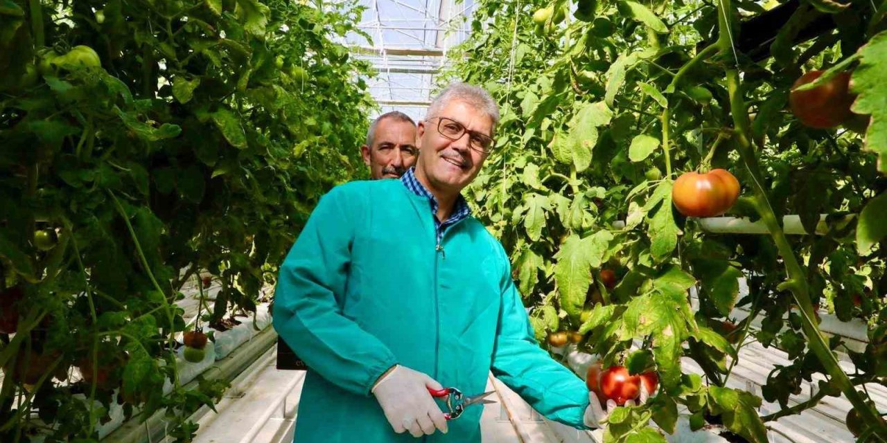 Niğde tarımı yenilendi