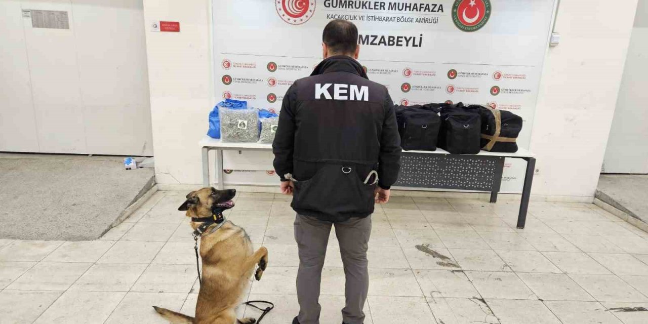 Sahte Basın Kartı Şüphe çekti: 105 Kilo Esrar Ele Geçirildi