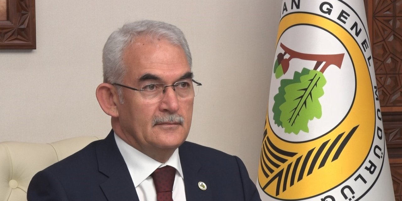 Orman yangınlarından çok canı yanan Türkiye, 75 ülkeden uzmanı bir araya getirecek