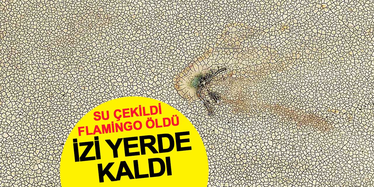 Şok Görüntüler: Gölbaşı Göleti Kuraklığın Sembolü Oldu