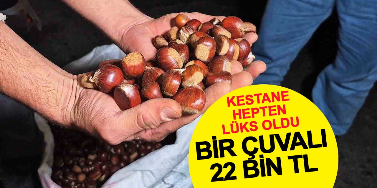 Bartın Kestanesinde Rekolte Yarı Yarıya Düştü, Fiyatlar Uçtu!